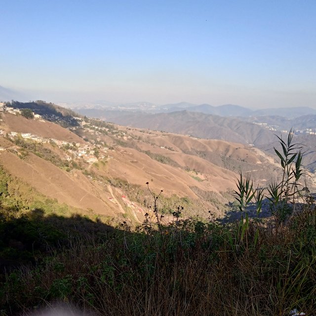 IMG_20250330_171412.jpg