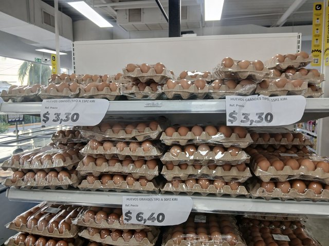 1002304691.jpg