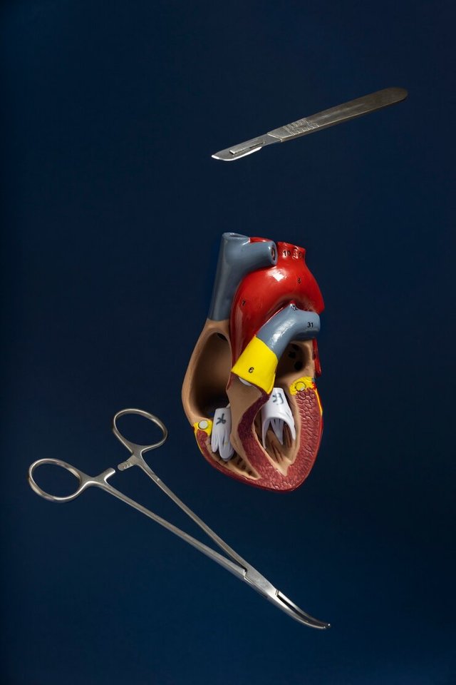 view-anatomic-heart-model-educational-purpose-with-medical-instruments_23-2149894434.jpg