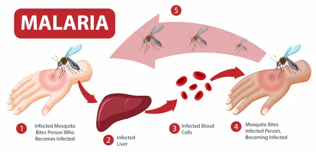 malaria-symptom-information-infographic_1308-50690.webp