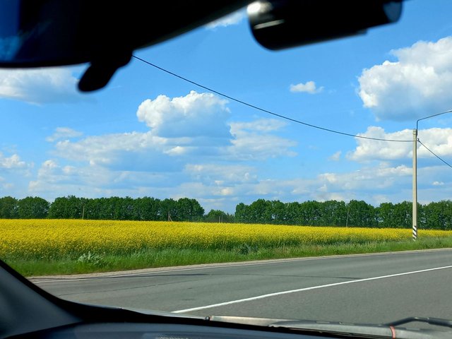 1000062692.jpg