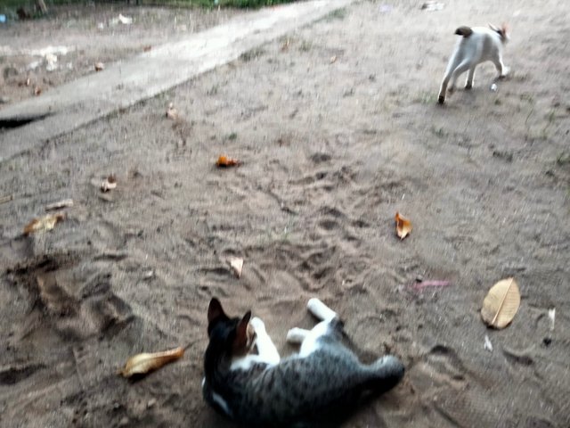 IMG20250831181922.jpg