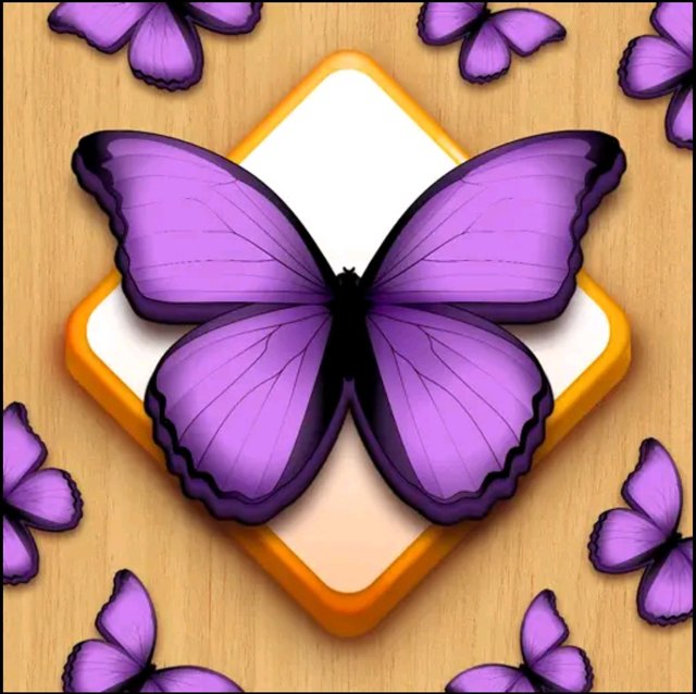 Screenshot_20250312-160912.jpg