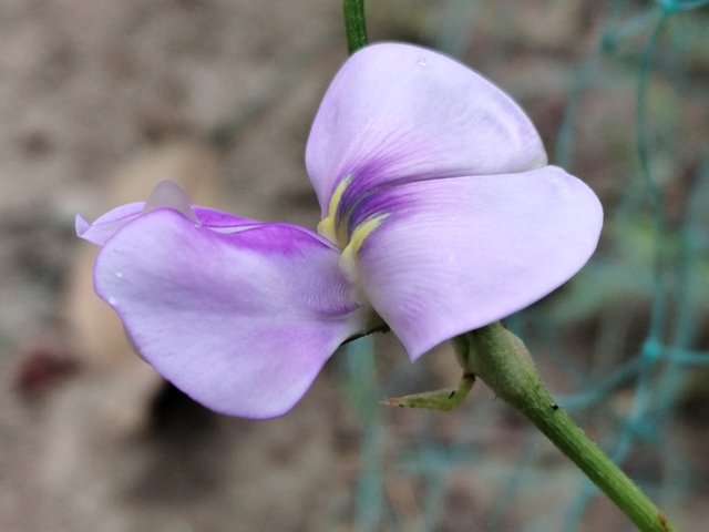 IMG_20250318_081934.jpg