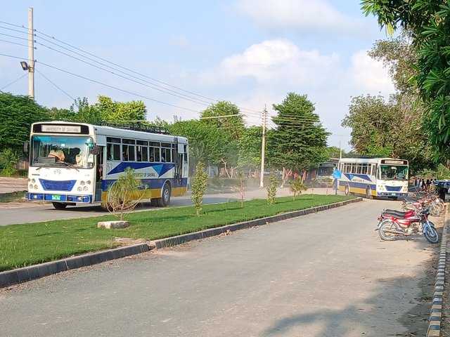 1000086281.jpg