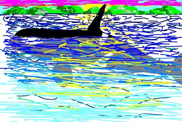 Ambers paint pic of orca.jpg