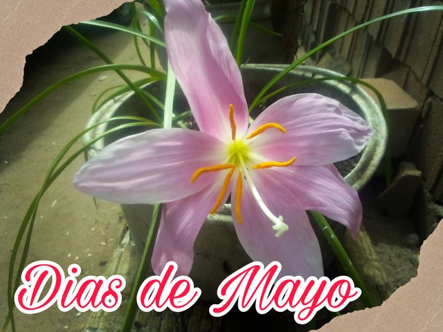 Picsart_25-05-07_10-34-02-376.jpg