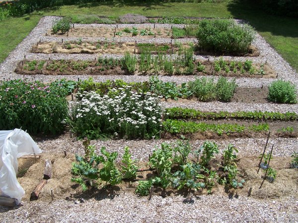 New Herb garden - finished1 crop July 2017.jpg
