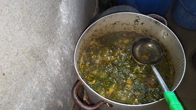 IMG20250904115728.jpg