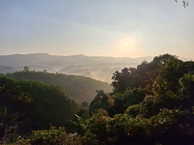 20240120_071921.jpg