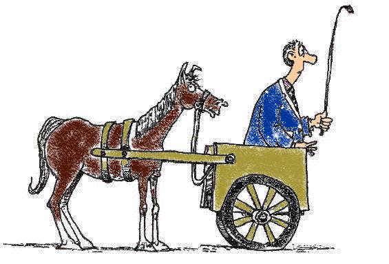 political-cart-before-the-horse.jpg