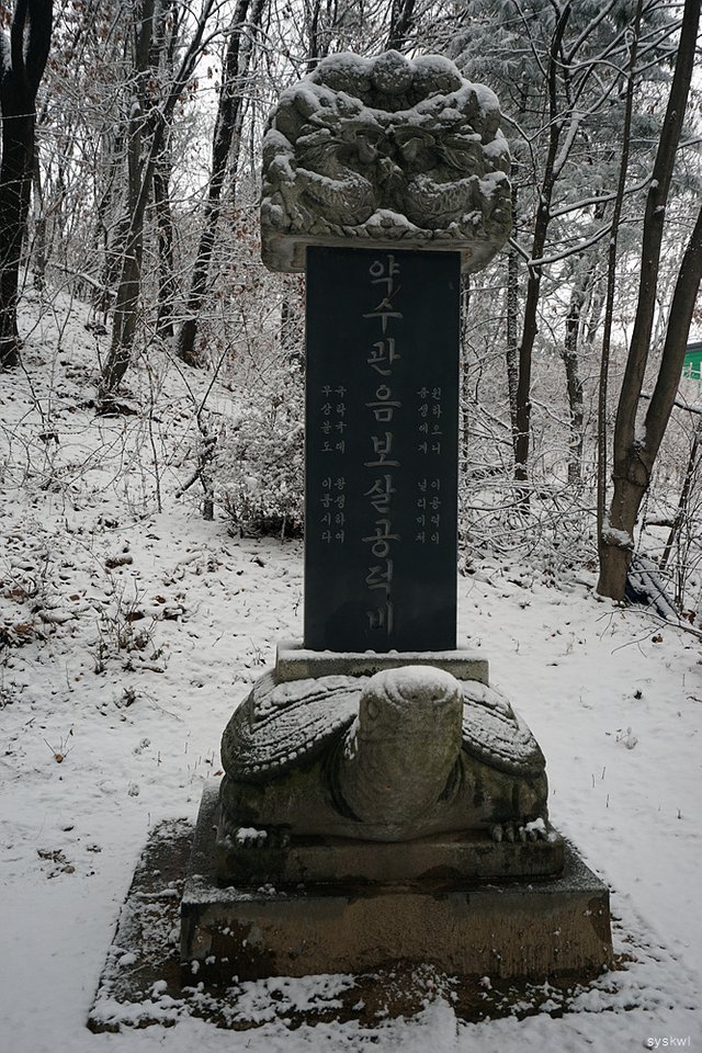 w-DSC00066.jpg