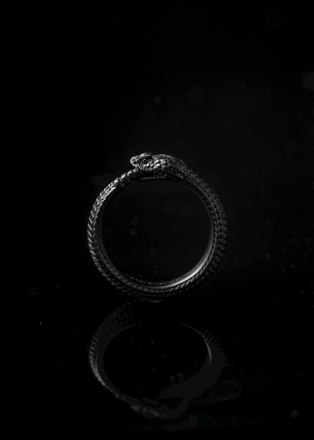 free-photo-of-close-up-of-a-black-ouroboros-ring.jpeg