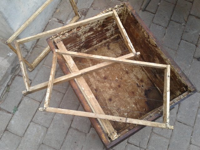 20180826_154550.jpg