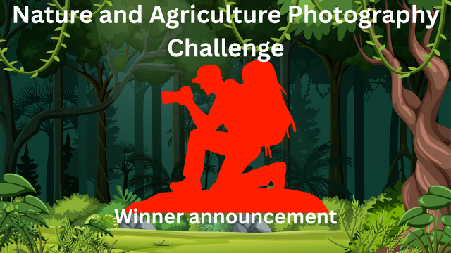 Nature and Agriculture Photography Challenge.png