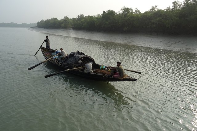 boat-gb1a316e38_1920.jpg