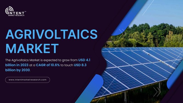 Agrivoltaics Market-01.jpg