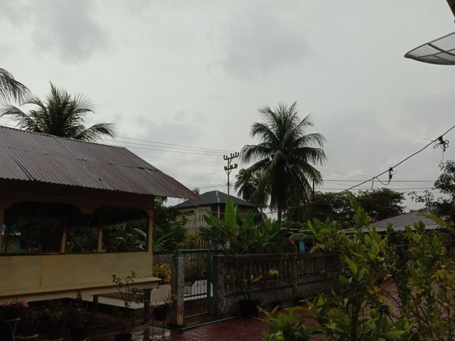 IMG_20210721_174814.jpg
