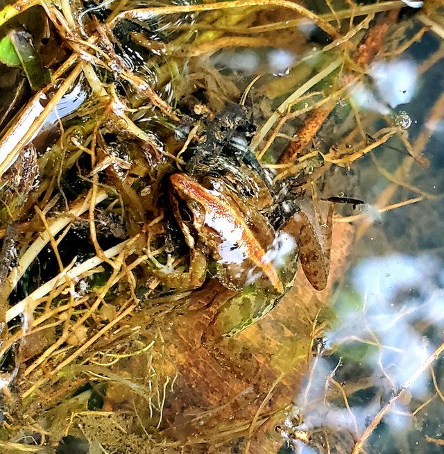 20220821_080320.jpg