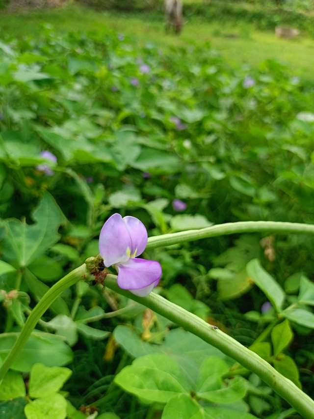 IMG20240404091109.jpg