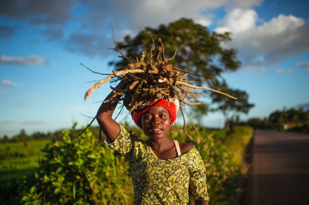 vibrant-portrait-of-young-african-woman-carrying-a-bundle-of-firewood-on-her-head-next-to-a.jpg
