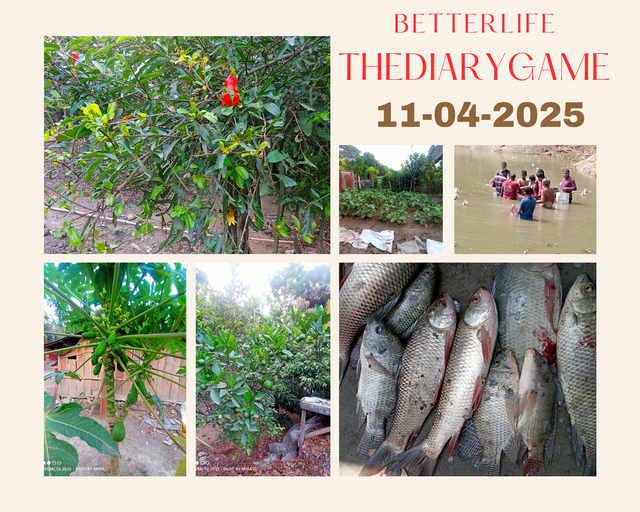 Betterlife_20250411_212227_0000.png