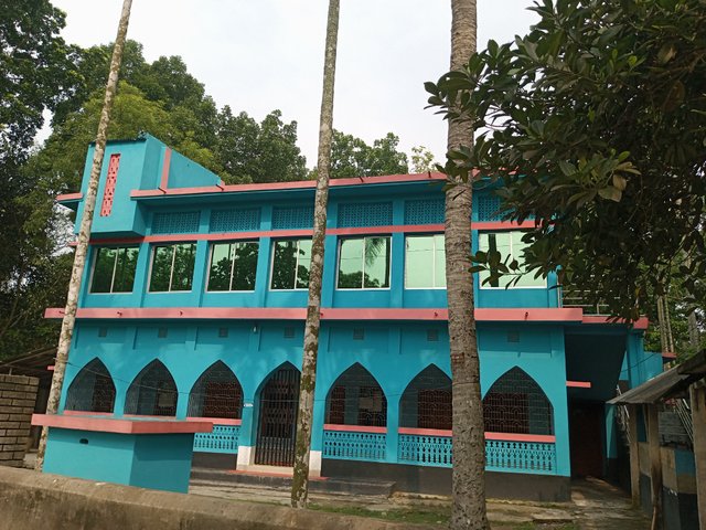 IMG_20250601_084447_564.jpg