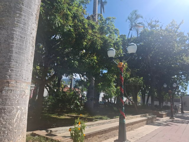 1000309174.jpg