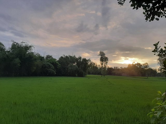 20230924_174009.jpg