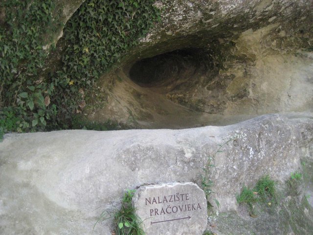 Krapina-Neanderthal-1.jpg