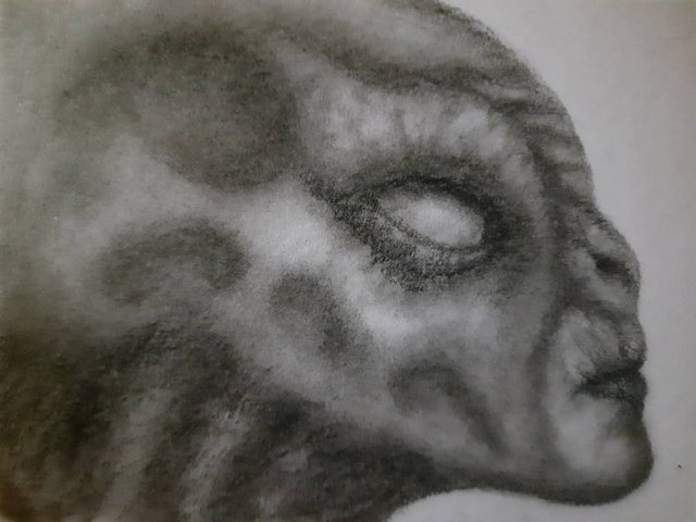 20250427_100445.jpg