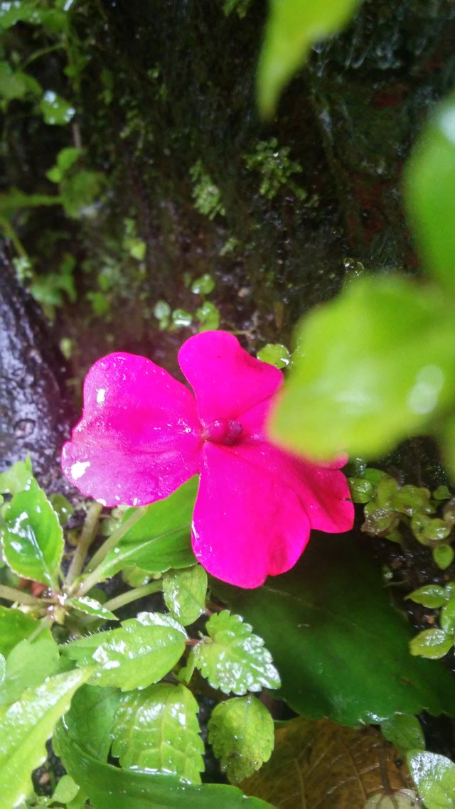 20180527_104316_HDR.jpg