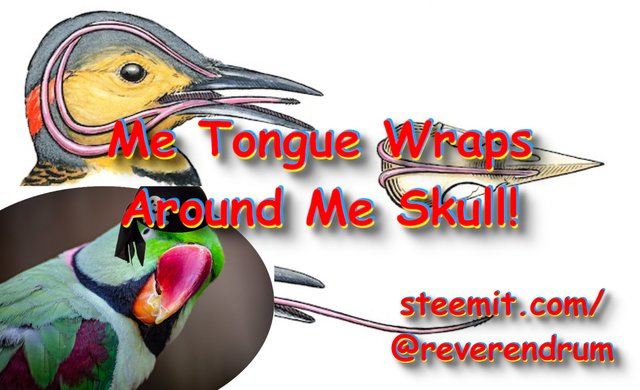 Me Tongue Wraps Around Me Skull.jpg