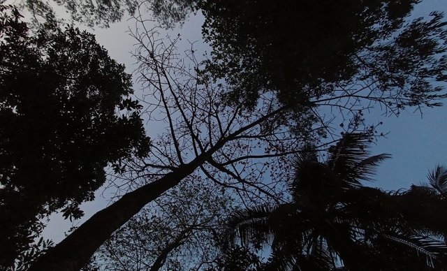 20250313_171233.jpg