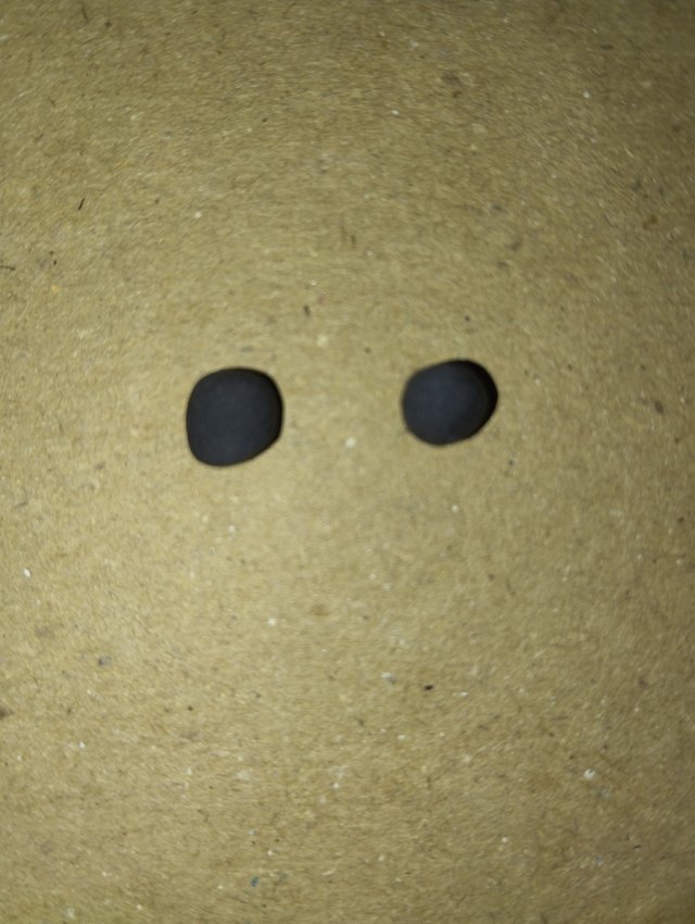 1000029386.jpg