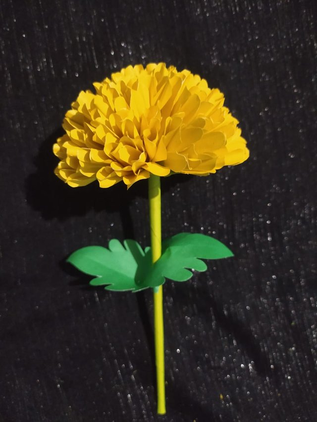 1000011580.jpg