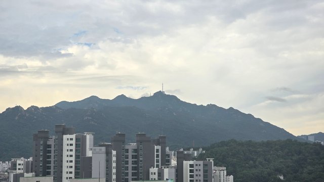 1000126772.jpg