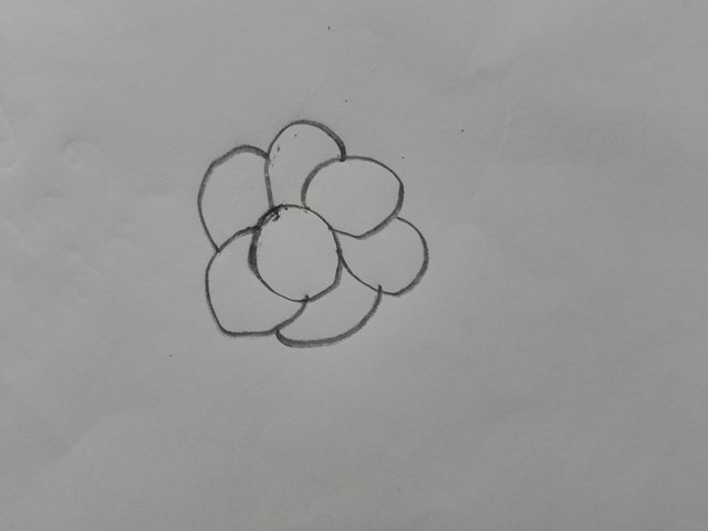 1000018368.jpg