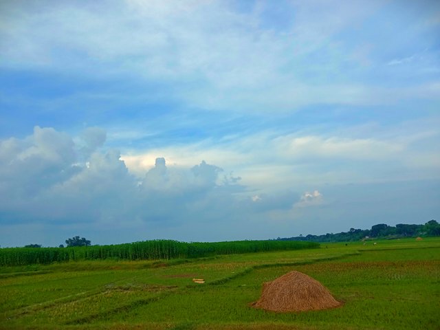 IMG_20250624_071630.jpg