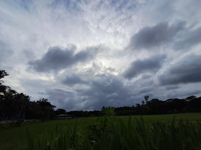 20240628_170239.jpg
