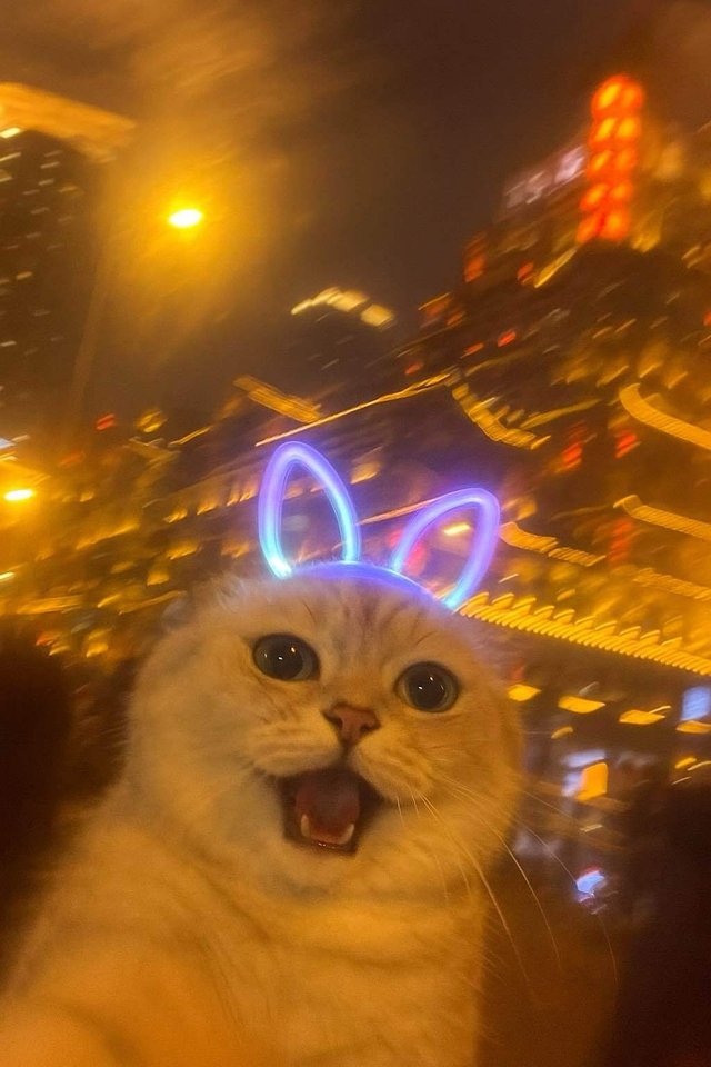 13395356187888526.jpeg