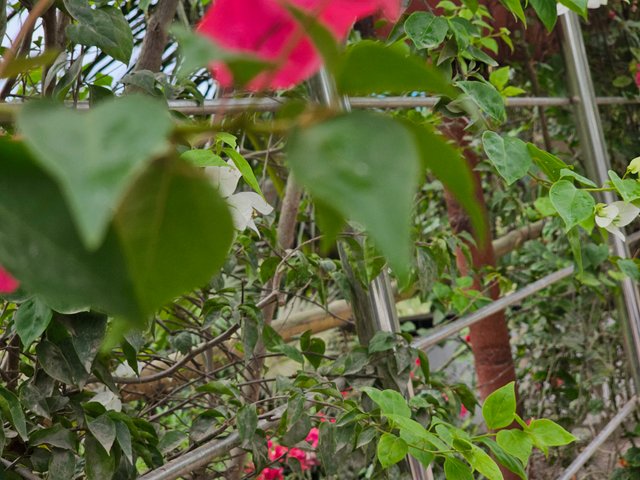 20250417_130707.jpg
