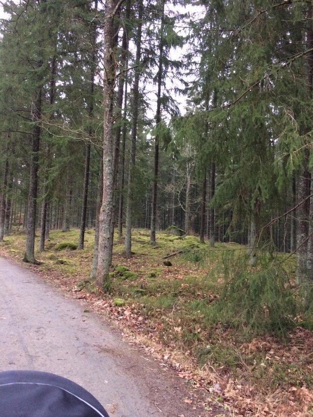 IMG-20191230-WA0011.jpg