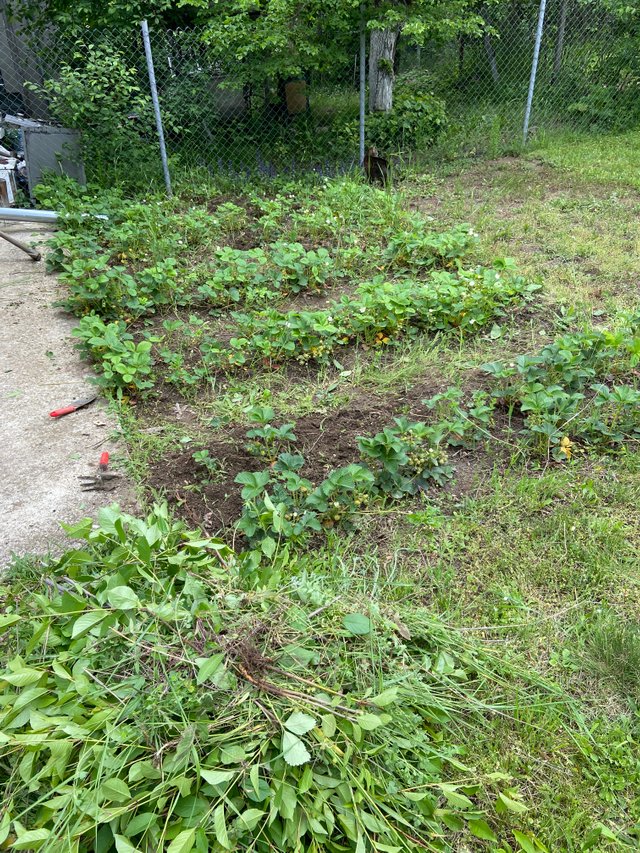 IMG7837.JPG