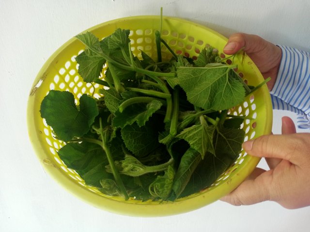 IMG20250930104522.jpg