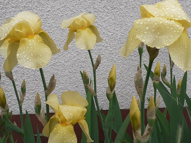 20250506_115620.jpg