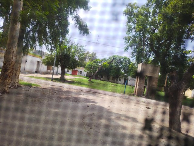 IMG_20250717_141001.jpg