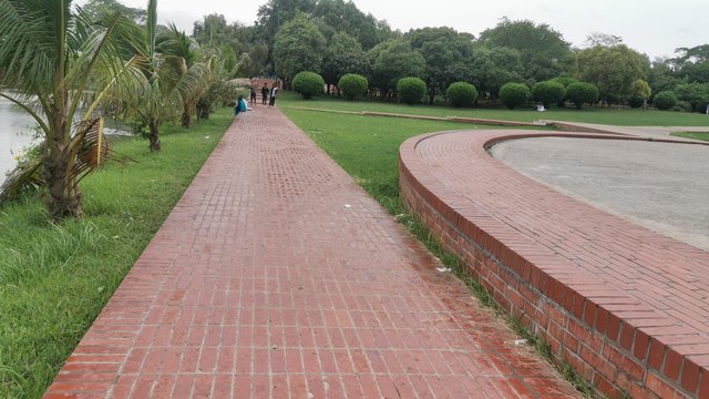 IMG_20240526_165016_1.jpg