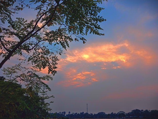 IMG_20250508_221218.jpg