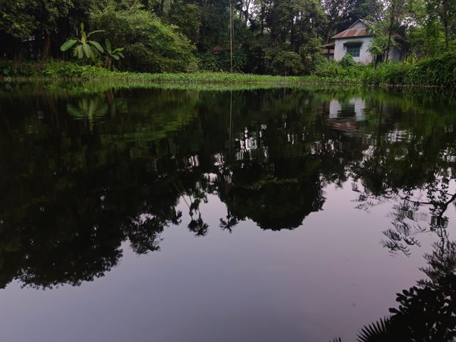 1000106450.jpg